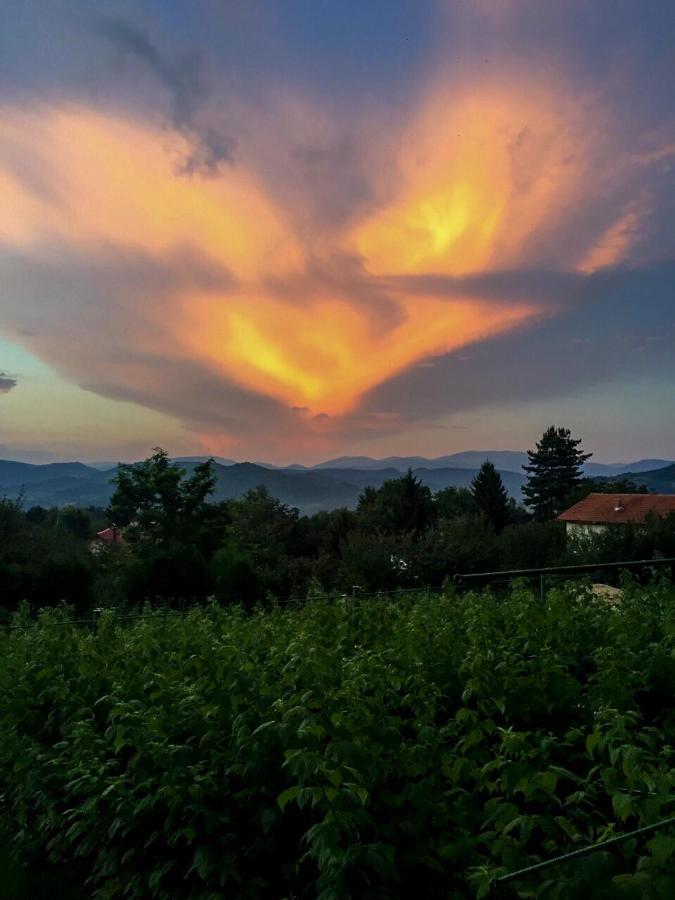 Merak Holiday Home Visoko Buitenkant foto